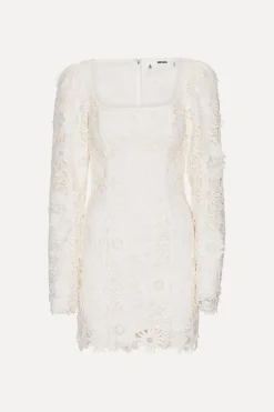 3d Lace Ls Mini Dress