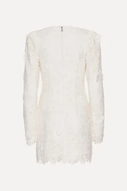 3d Lace Ls Mini Dress