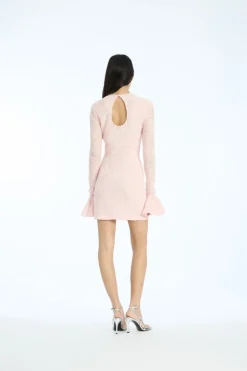 Mesh Frill Mini Dress Light Pink