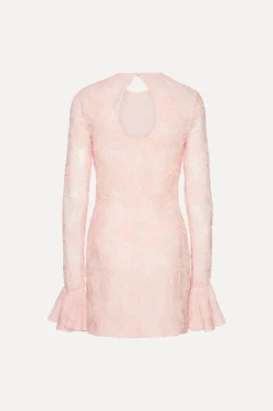 Mesh Frill Mini Dress Light Pink